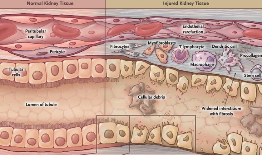 1524863060717443.png a2.png